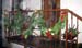adventpfad_024