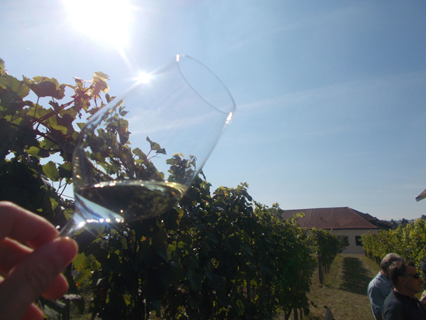 160929_ausflug_05