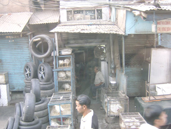 indien_015
