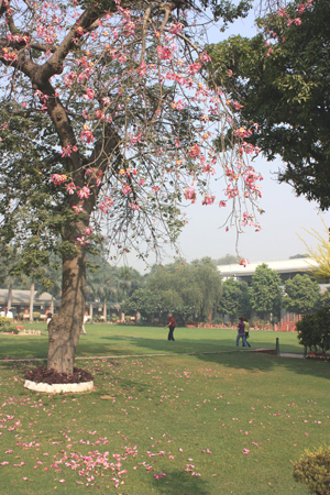 indien_027