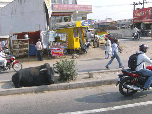 indien_054