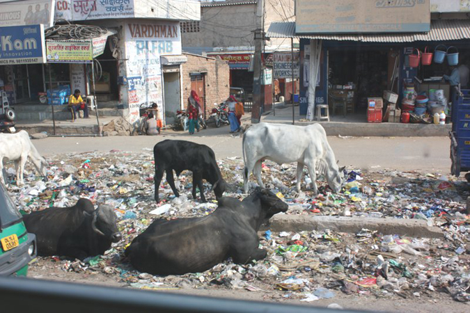 indien_061
