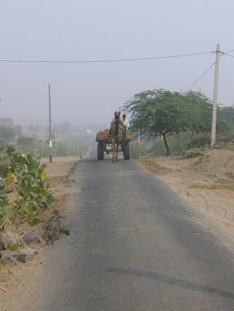 indien_070