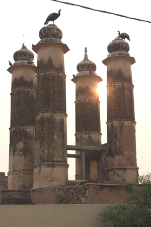indien_072