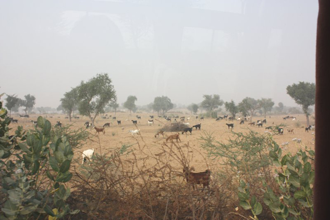 indien_085