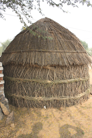 indien_088