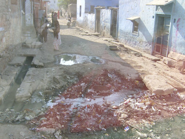 indien_184