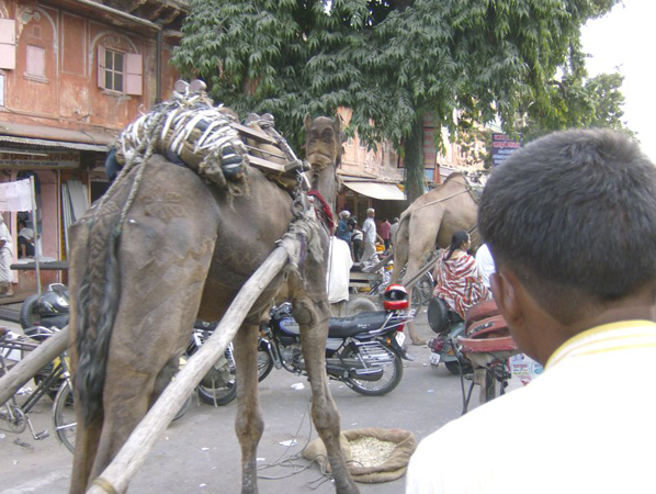 indien_246