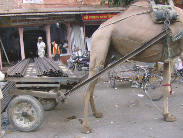 indien_247