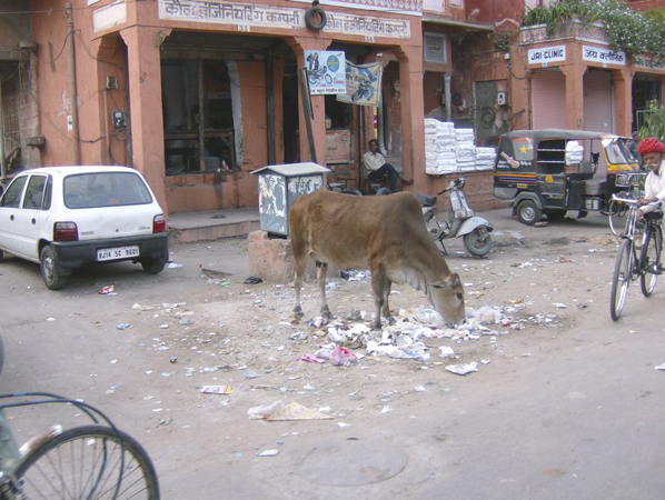 indien_253