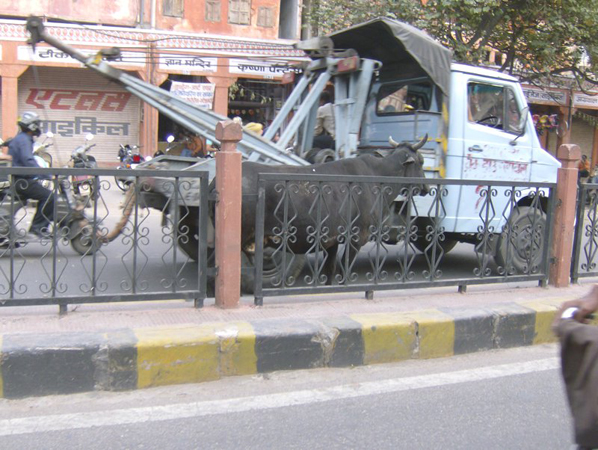 indien_256