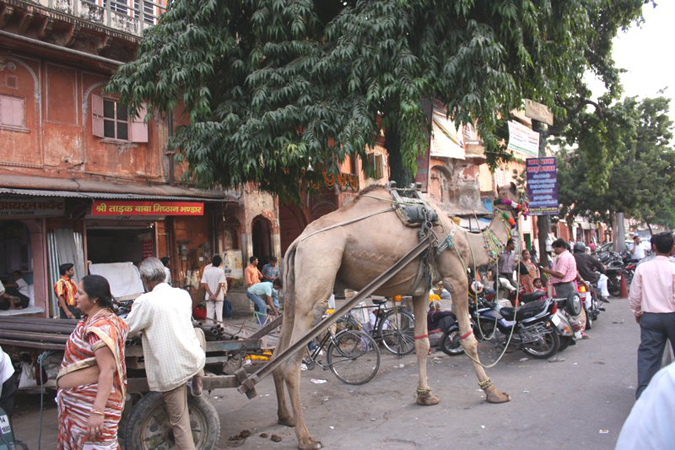 indien_261