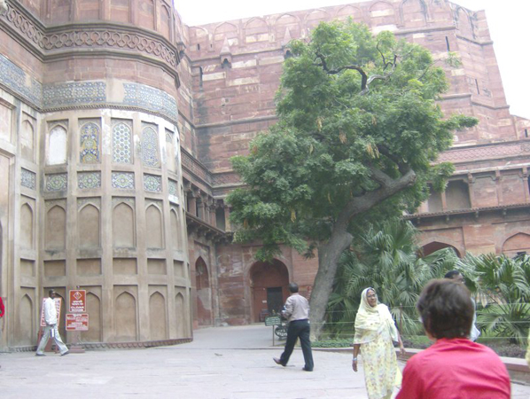 indien_309