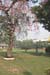 indien_027