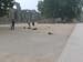 indien_047