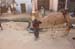 indien_069