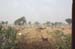 indien_085