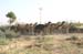 indien_179