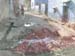 indien_184