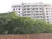 indien_194