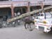 indien_252