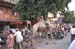 indien_261