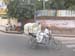 indien_294