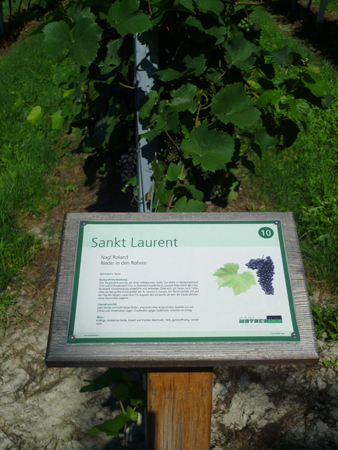 P1000507